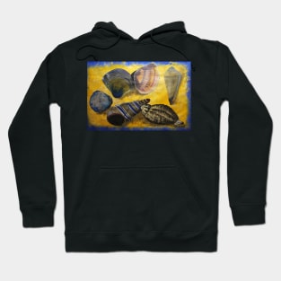 Sea Shells Hoodie